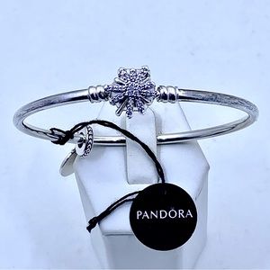 Pandora NWT FIREWORKS Bangle With Charm